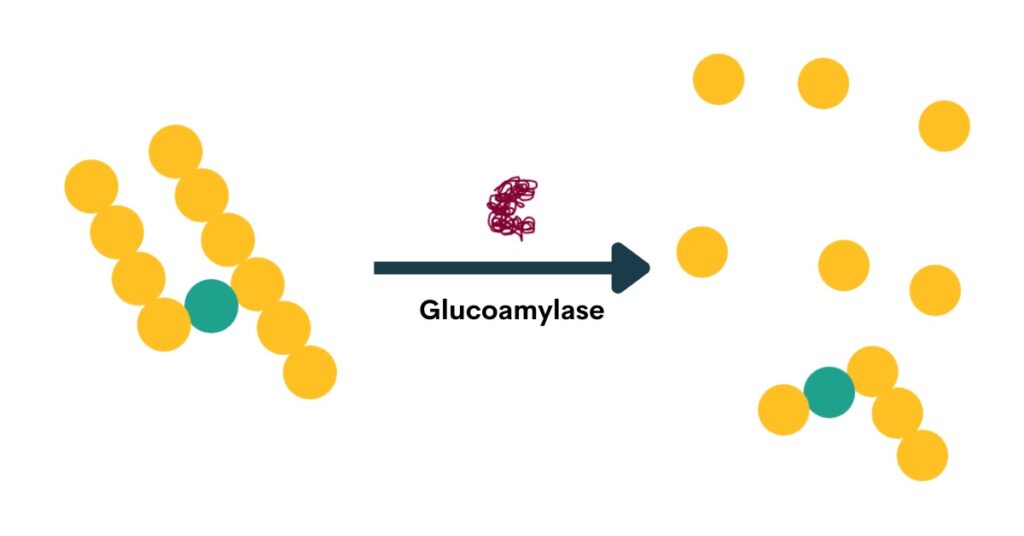 Diagram of dextrin to glucose and dextrin with enzyme