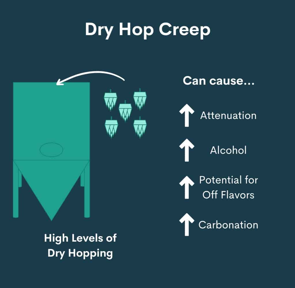 Dry hop creep info diagram